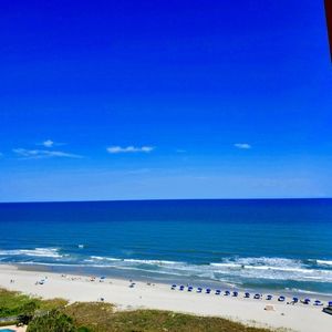 Meet your Posher, Betsy